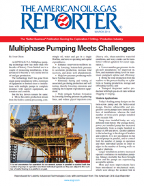 Multiphase Pumping Meets Challenges (Reprint)